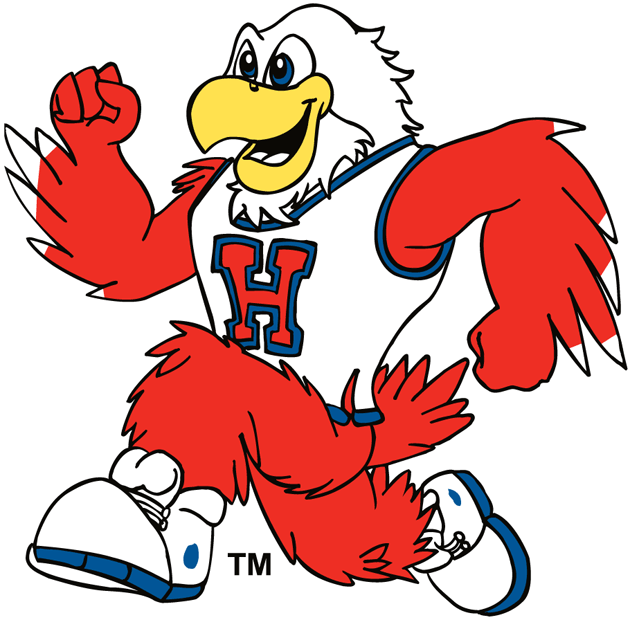 hartford hawks 1984-pres mascot logo iron on transfers for T-shirts fabric transfer
